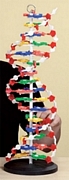 DNA-1-396220_1.jpg